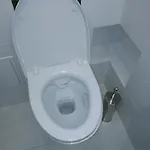 Salezego